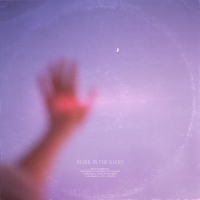 Fever In The Night (EP)