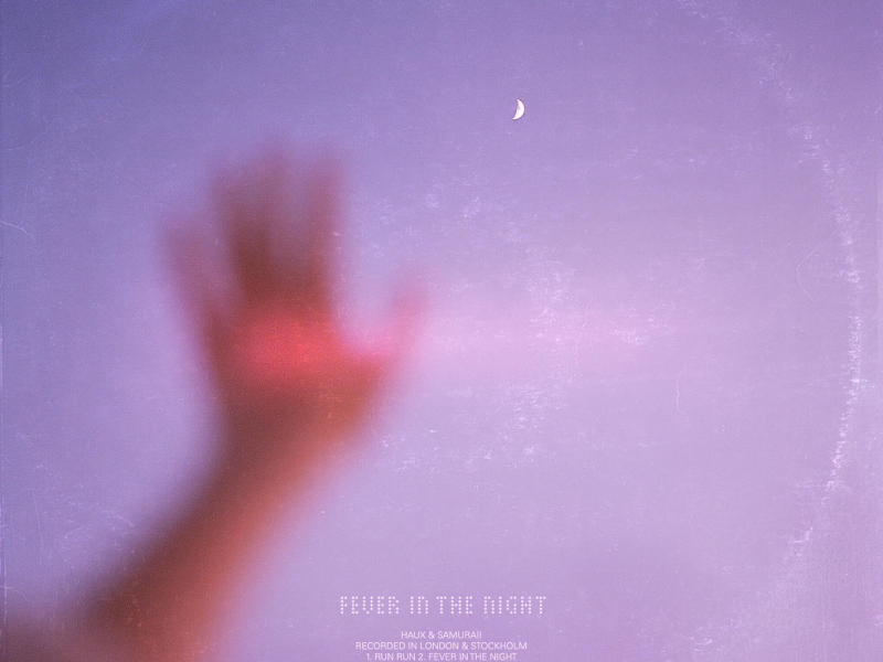 Fever In The Night (EP)