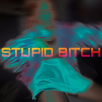STUPID BITCH (Single)