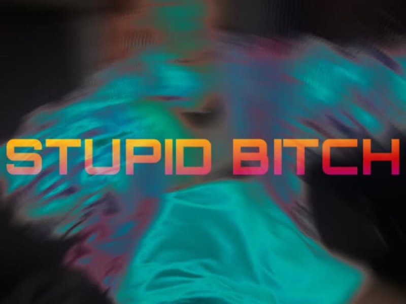 STUPID BITCH (Single)