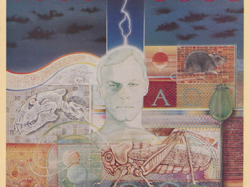 Plágan (Sérútgáfa)