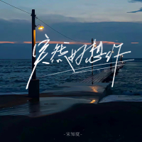 突然想起你 (一个人的夜我的心应该放在哪里) (Single)