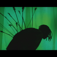 pápá (MV) (Single)