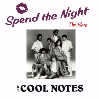 Spend the Night: The Mixes (EP)