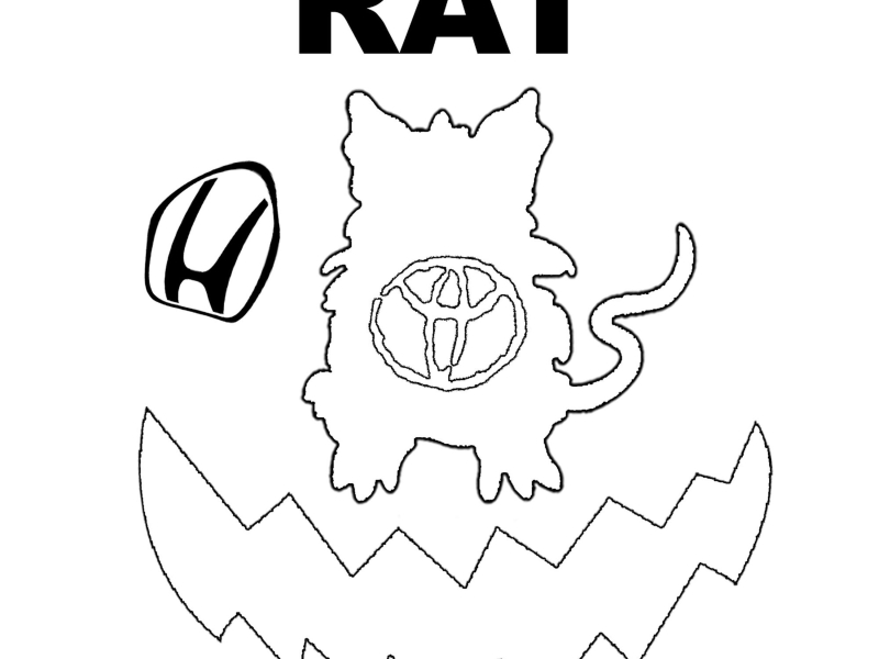 Rat