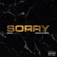 Sorry (Single)