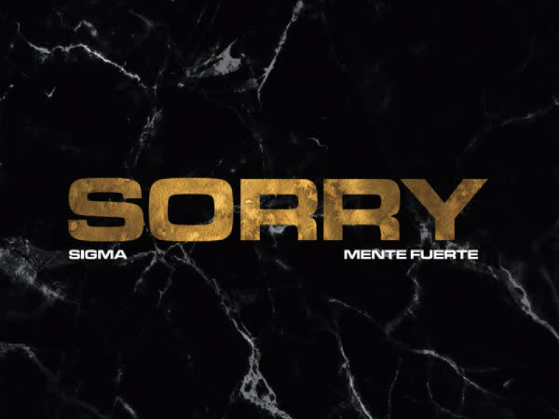 Sorry (Single)