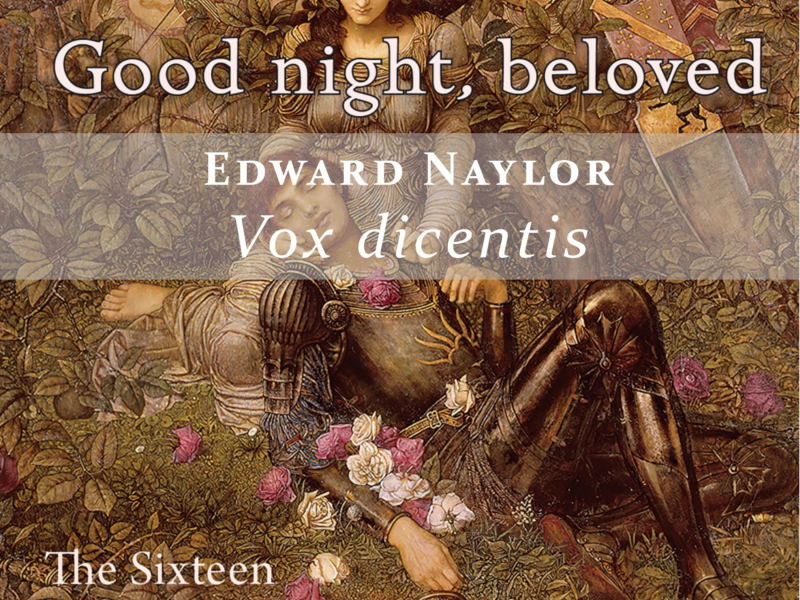 Vox dicentis (Single)