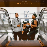 Amalevels (Extended) (Single)