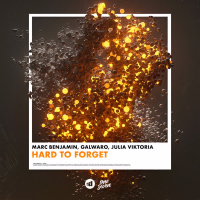 Hard to Forget (Single)