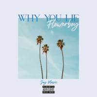 Why You Lie (with FlowerBoy) (Single)