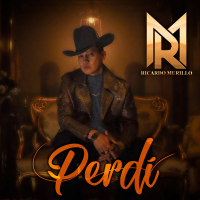 Perdí (Single)