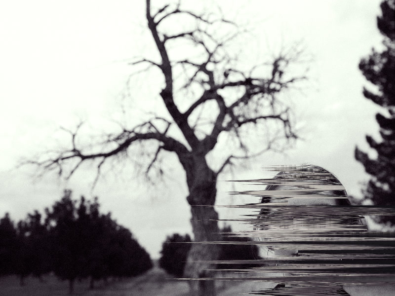 Broken Harvest (Single)