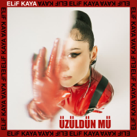 Üzüldün Mü (Single)