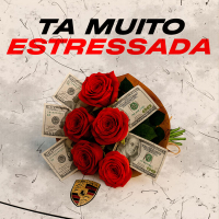 TA MUITO ESTRESSADA (Single)