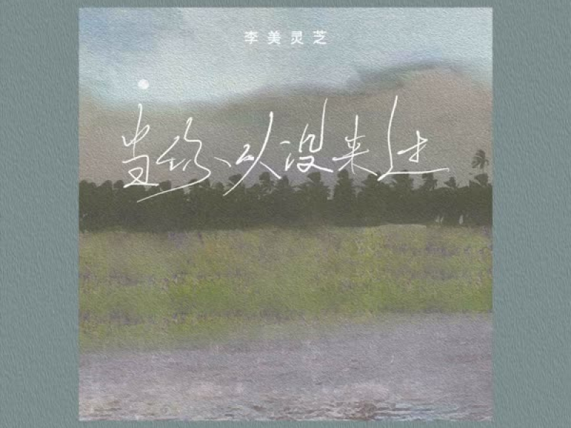 当你从没来过 (Single)