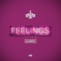 Feelings (feat. Caleborate)
