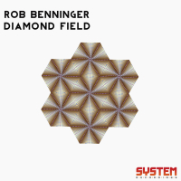 Diamond Field (EP)