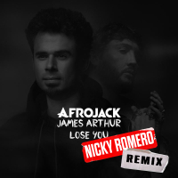 Lose You (Nicky Romero Remix) (Single)