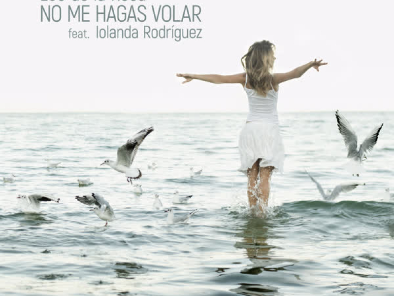 No Me Hagas Volar (Single)