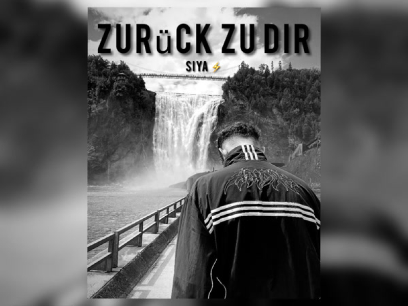 Zurück zu dir (Single)