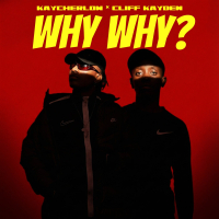 Why why (Single)
