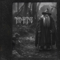 The Forgotten Castle Special Edition (Single)