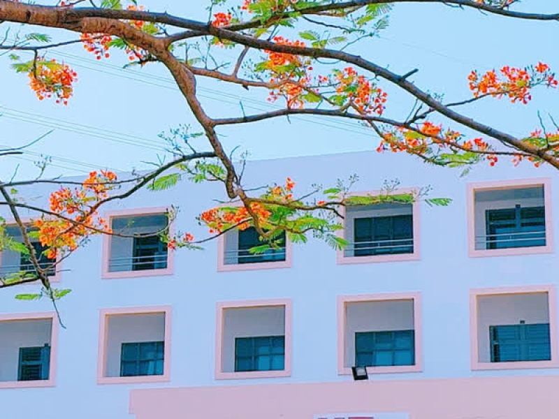 Tiến Lên Sinh Viên Trường Đại Học Kinh Tế Công Nghiệp Long An (Single)