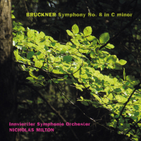 Bruckner: Symphony No. 8 in C Minor, WAB 108 (Version 1890)