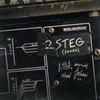 2 STEG (REMIX) (Single)