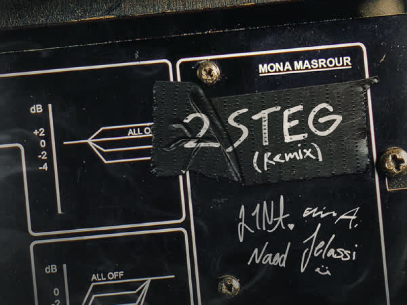 2 STEG (REMIX) (Single)