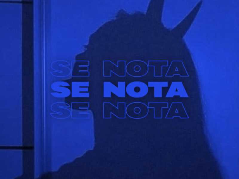Se Nota (Single)