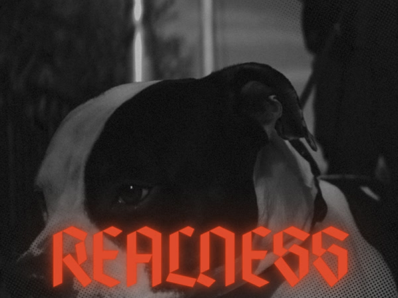 REALNESS #3 (Single)