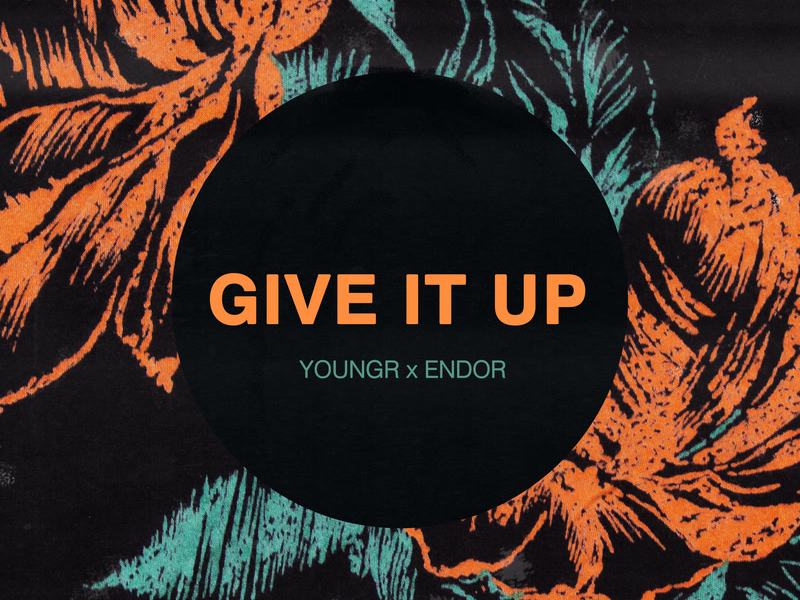 Give It Up (Youngr x Endor) (Single)