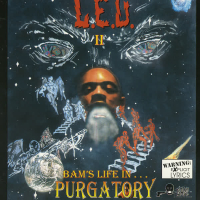 L.E.U. Life In...Purgatory