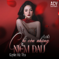Chỉ Còn Những Niềm Đau (Acv Lofi) (Single)