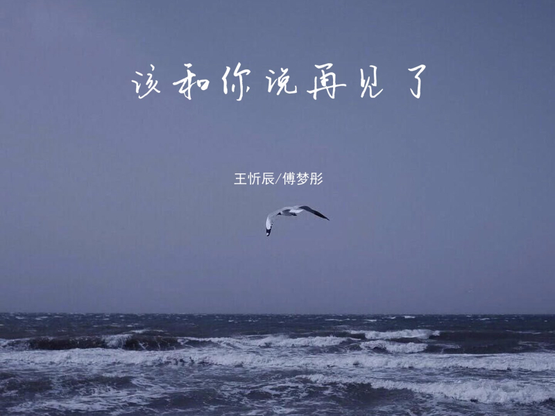 该和你说再见了 (Single)