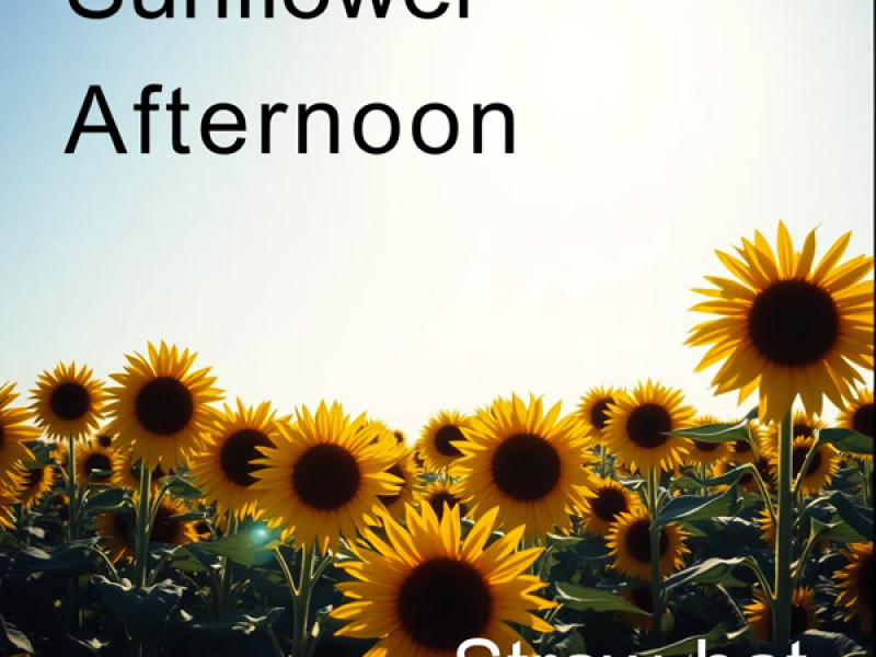 Sunflower Afternoon (Single)