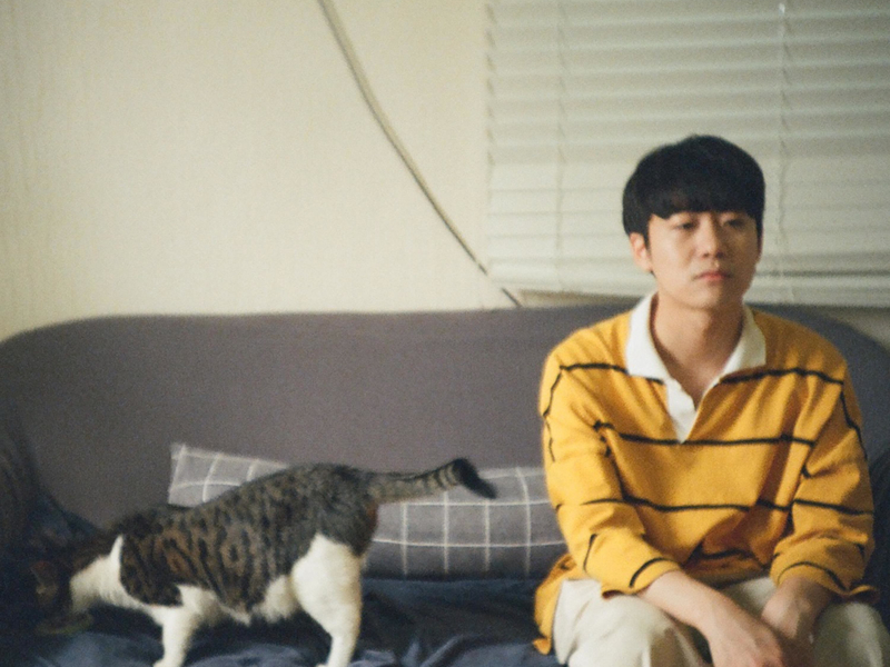 But You Like My Cat (Single)