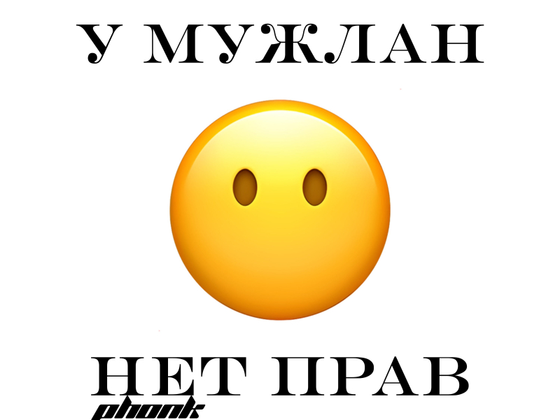 У МУЖЛАН НЕТ ПРАВ PHONK (Single)