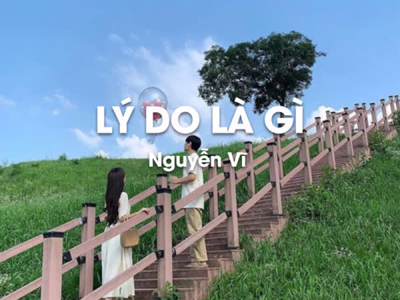 Lý Do Là Gì (Lofi Chill) (Single)