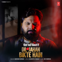 Dil Jahan Bikte Hain (Single)
