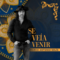 Se Veía Venir (Single)