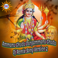 Ammanu Chudu Durgammanu Chudu (Dj Remix Song Version 2) (Single)