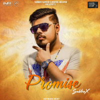 Promise (feat. Tanmay Kapoor) (Single)