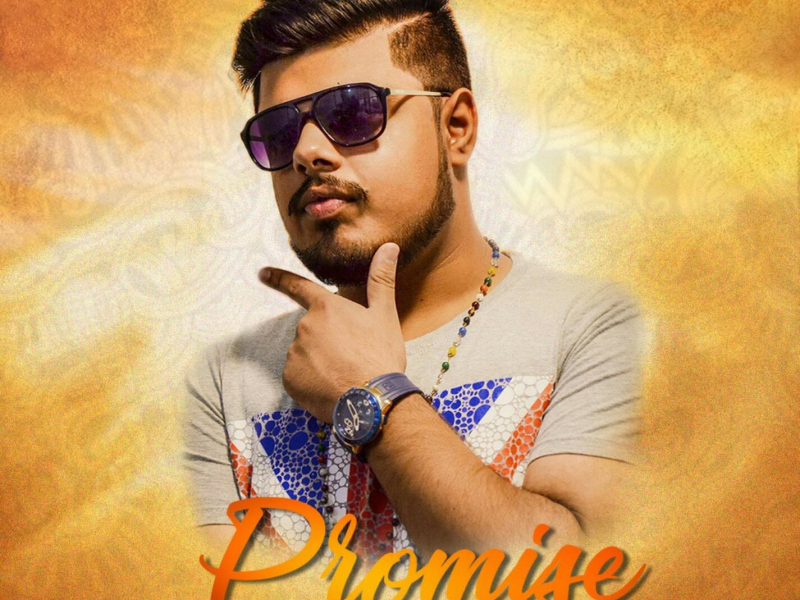 Promise (feat. Tanmay Kapoor) (Single)