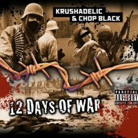 12 Days of war