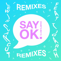 Say OK (Remixes) (EP)