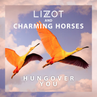 Hungover You (Single)