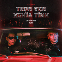 Trọn Vẹn Nghĩa Tình (Single)